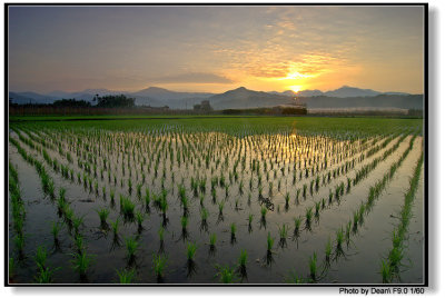 Mei-Nong, Taiwan