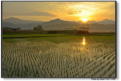 Mei-Nong, Taiwan