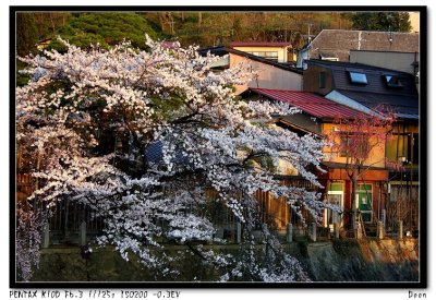 2007 Trip to Japan (3)
