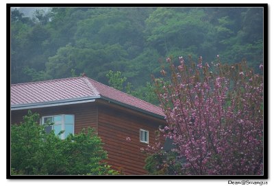 IMGP1480.jpg