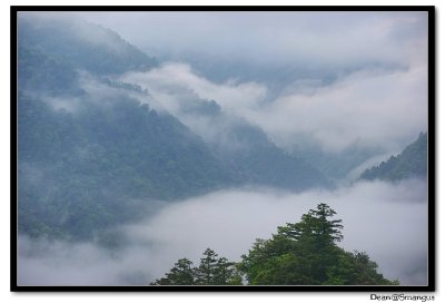 Smangus@Taiwan