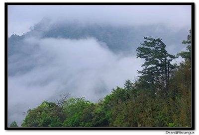 IMGP1514-1.jpg