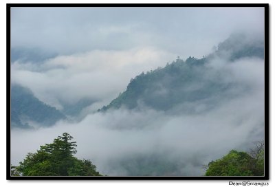 IMGP1516-1.jpg
