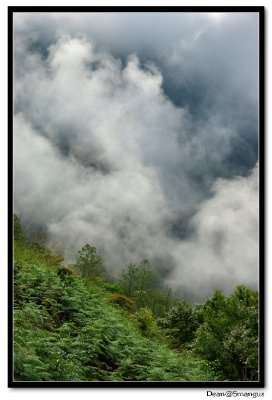Smangus@Taiwan