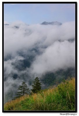 Smangus@Taiwan