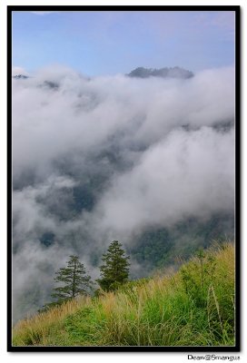 Smangus@Taiwan