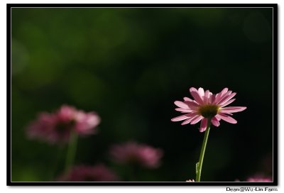 g9/19/326019/3/97241521.WRIVEsEI.jpg