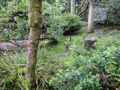 DSC00625.JPG