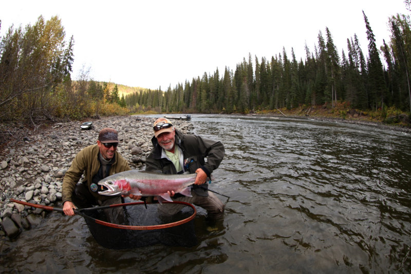 Cod, Me and Steelhead