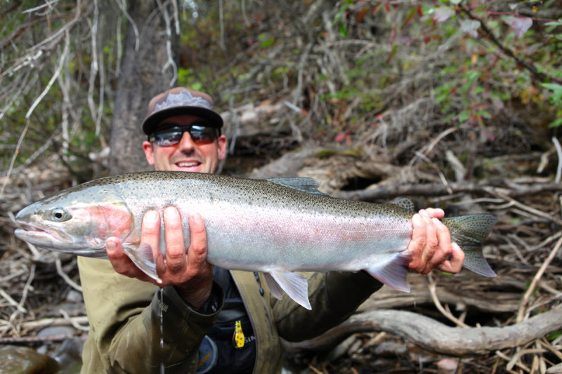 Cod and Steel, Hooked at Rude Awakening, Landed at Bills Last Cast