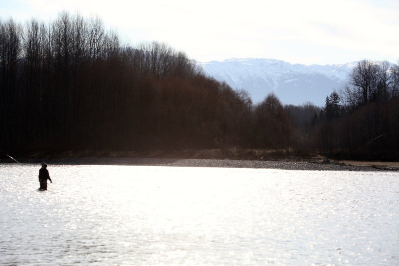 Fishing the Flats of the Skeena