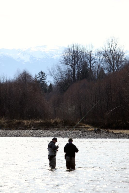 Skeena Vista