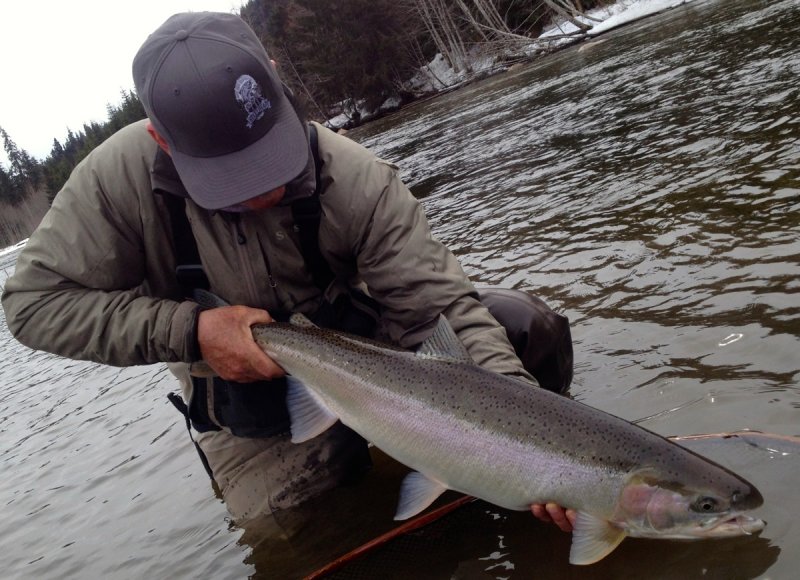 Steelhead House