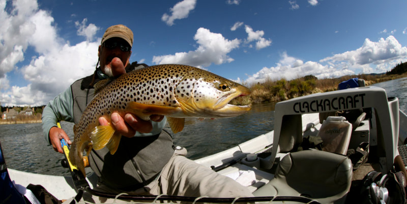 Greg and a Brown