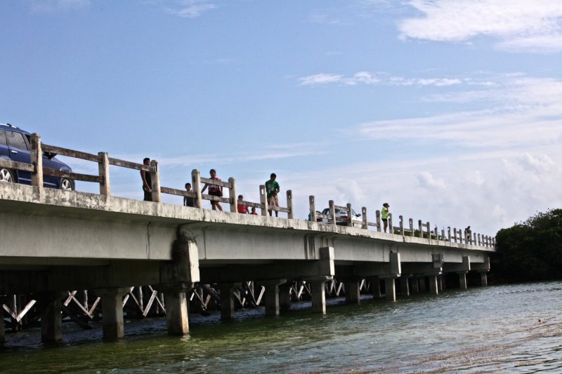The New Bridge