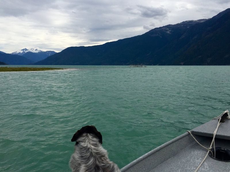 Bo at the Mouth