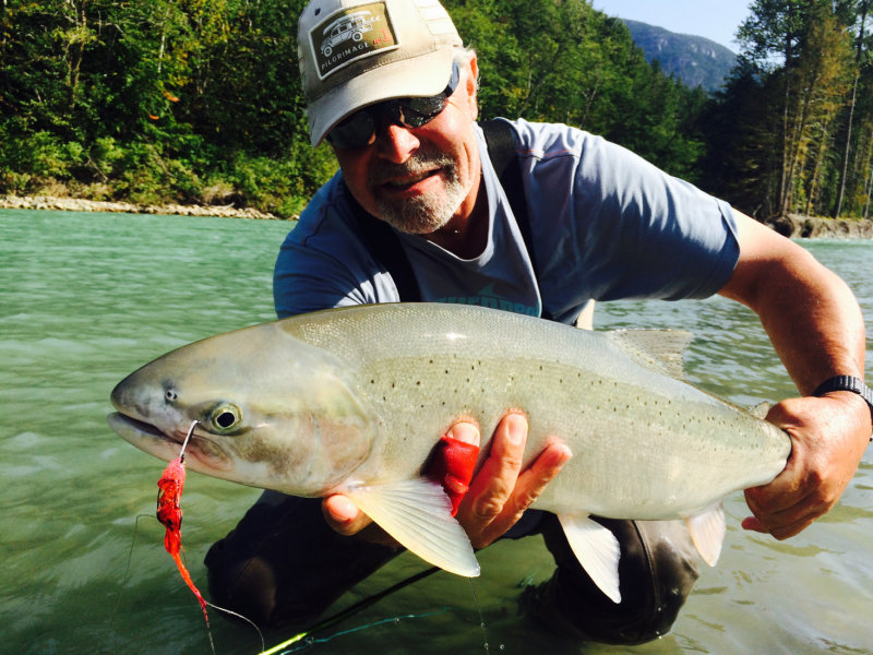 Dean River Steelhead