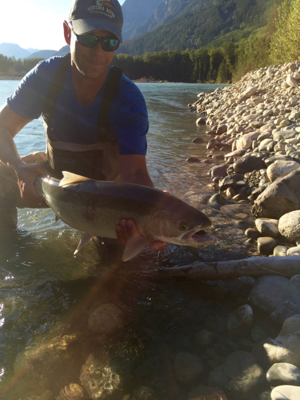 Dean River Steelhead