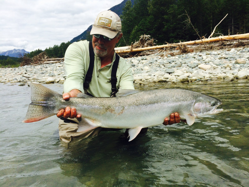 Dean River Steelhead