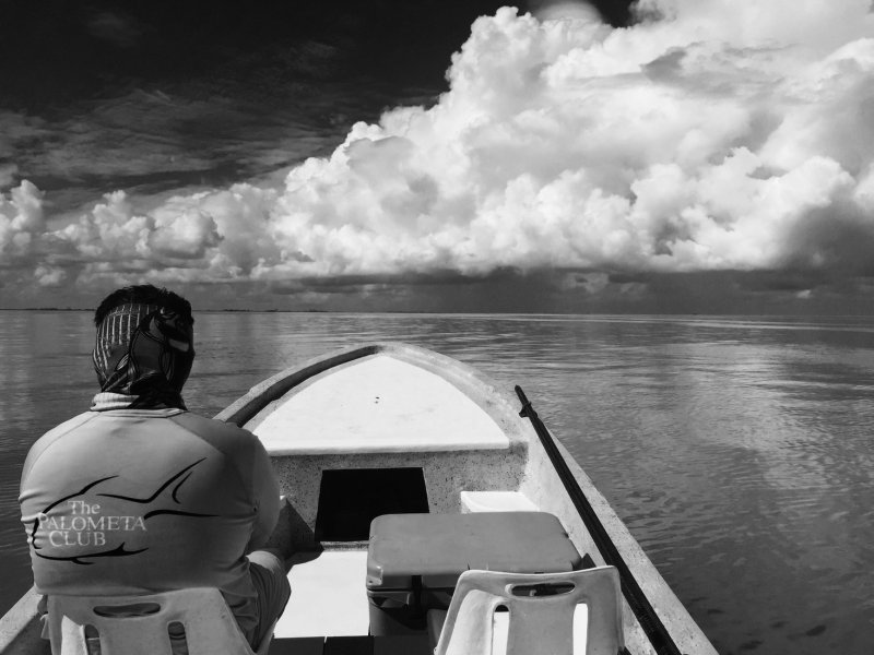 Looking West, Noir