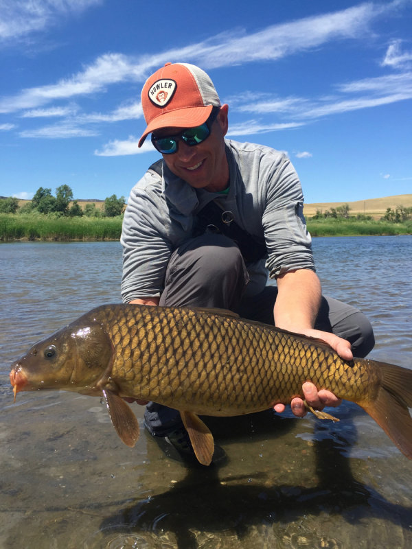 Carp in Hand