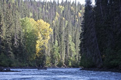 Looking Upstream