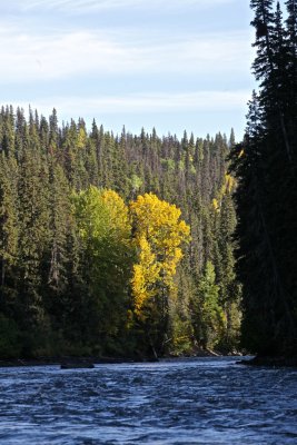 River Corridor