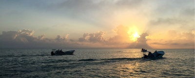 Morning Rush Hour at the Palometa Club