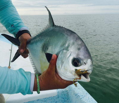 January 8-14, 2016 --- Ascension Bay, Quintana Roo, Mexico