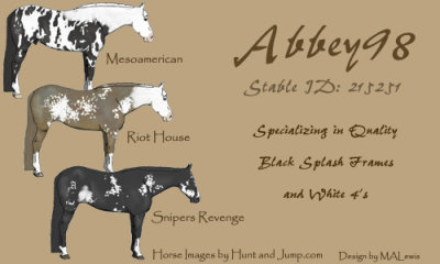 Stable Image for Abbey98 2.jpg