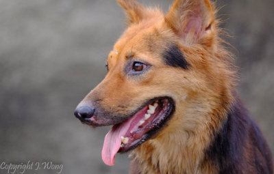 DSCF2133.jpg