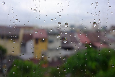 DSCF7226.jpg