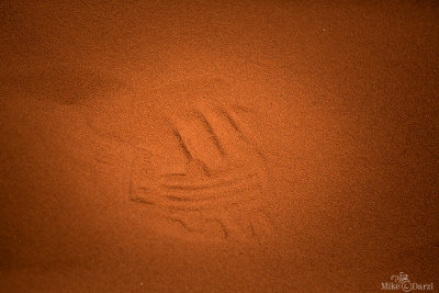 JordanLinesShapes_1237.jpg