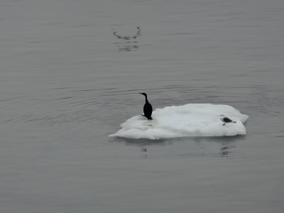 DSC04285.JPG