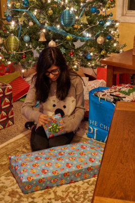 xmas 2015_025.jpg