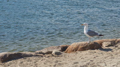 W.Yarmouth_086.jpg