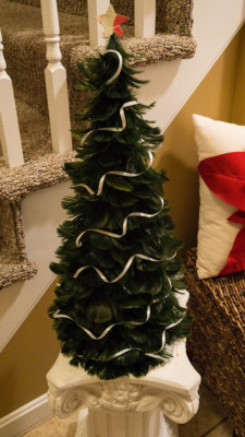 XmasEve16_005.jpg
