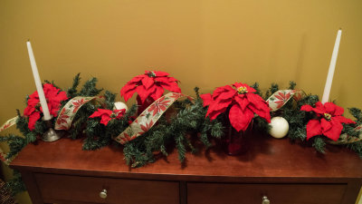 XmasEve16_007.jpg