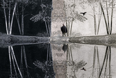 Pond in the Wood
