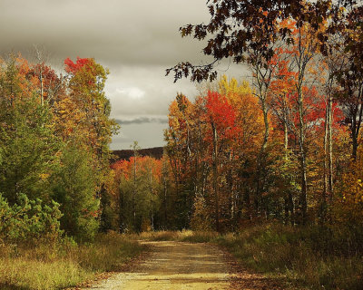 Fall in West Virginia