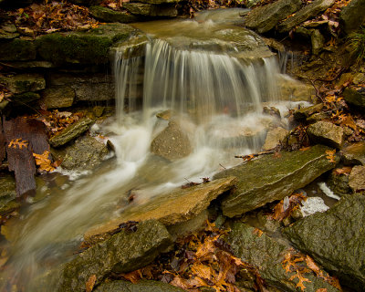 Small creek at Cove Springs park in Frankfort, KY