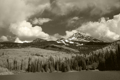 DS060311180916-sepia.jpg