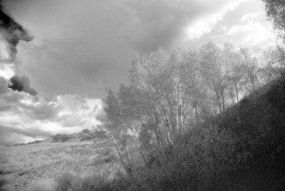 DS060311181351-B&W.jpg