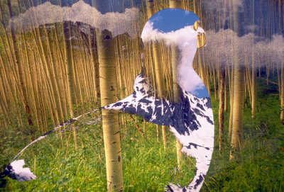 DS070128161539-color.jpg
