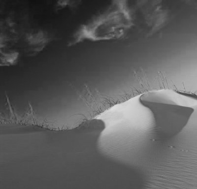Con's Sandhill picture