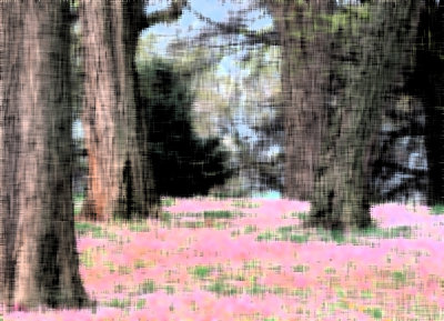 DS060311210654-c.jpg
