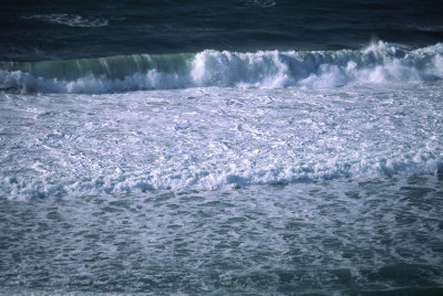 Wave (311162459)