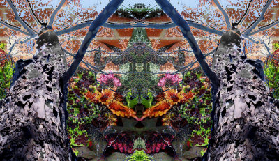 Sycamore-coleus-ocean, All symetric