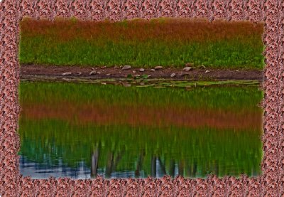 _MG_0087-excr2-crop-Multiply small.jpg