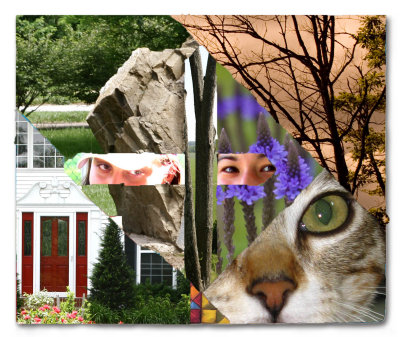 Lisa Kate collage.jpg